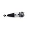 Arnott Air Suspension Strut, AS-3234 AS-3234 - alternate 4